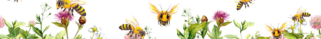Bienenprodukte-naroma.ch