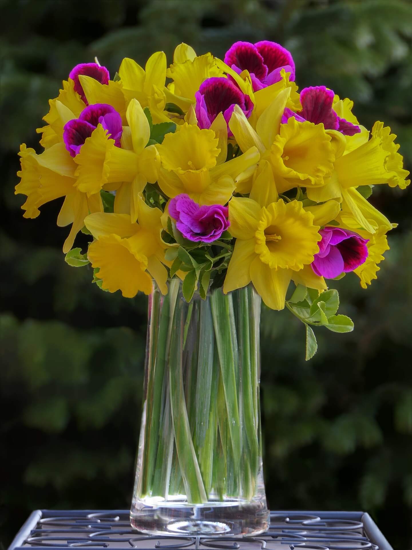 Spring Flowers